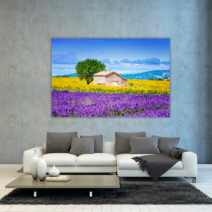 Sunflower Field Sky