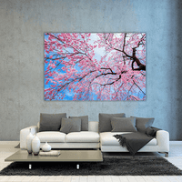 Sakura Season in Spring