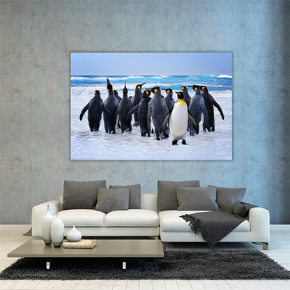 King Pinguins
