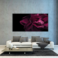 Dark red rose