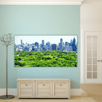 Skyline and Central Park