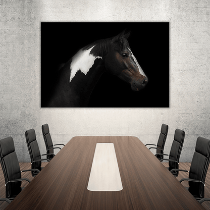 Skewbald Horse