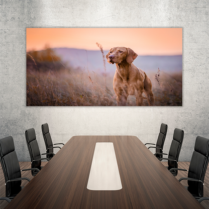 Hungarian vizsla Portrait