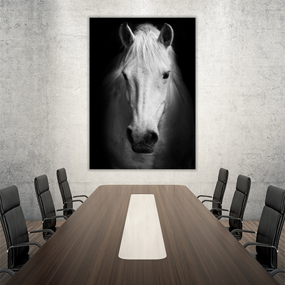 Portrait of a white Horse