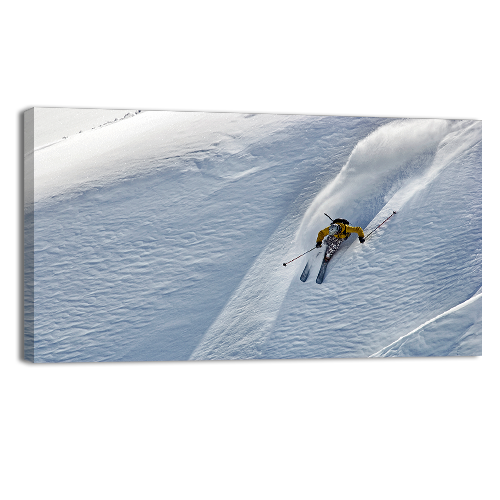 Power Skier