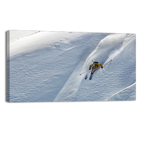 Power Skier