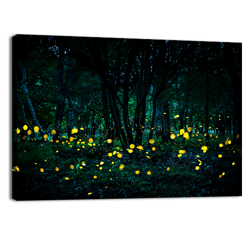 Bosque de las luciernagas