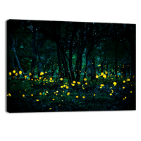 Bosque de las luciernagas