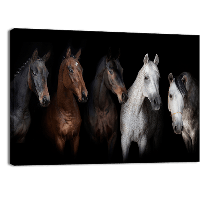 Horses Portrait