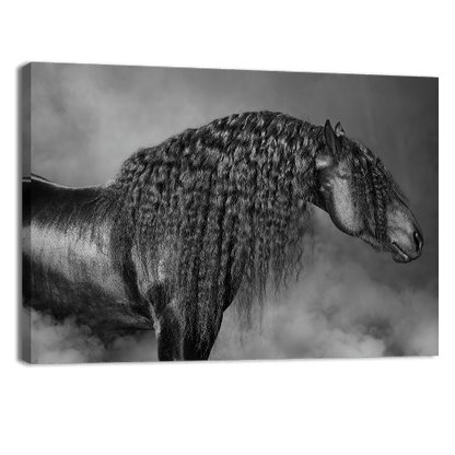 Long Mane
