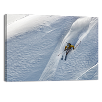 Power Skier