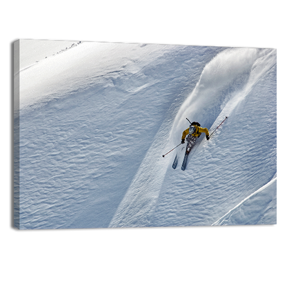 Power Skier