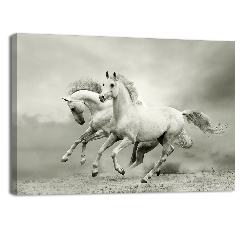 White Horses Run in Dust