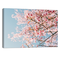 Pink Cherry Blossom