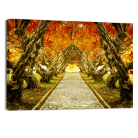 Plumeria Tree Tunnel
