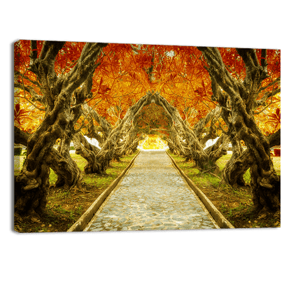 Plumeria Tree Tunnel