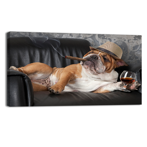 Dogs Life