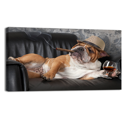 Dogs Life