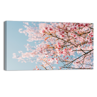 Pink Cherry Blossom