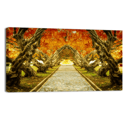 Plumeria Tree Tunnel