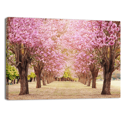 Rosy Trumpet Tree