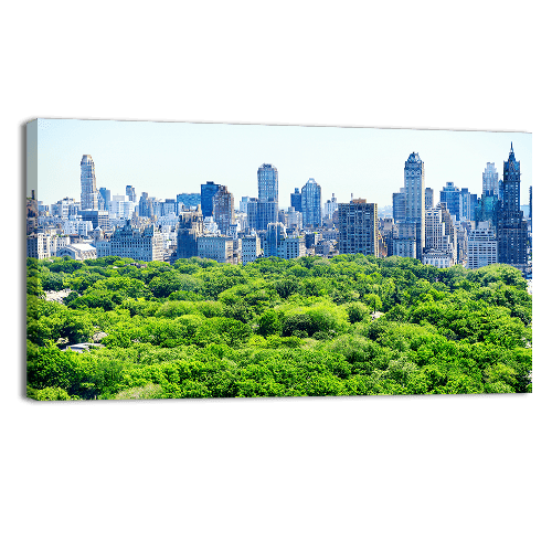 Skyline and Central Park