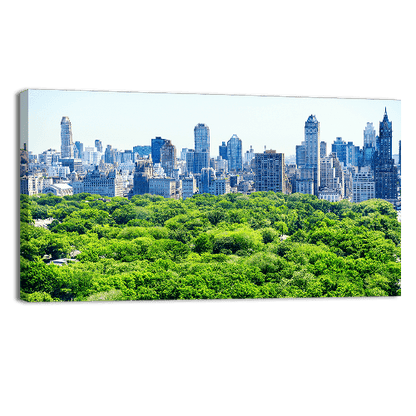 Skyline and Central Park