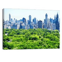 Skyline and Central Park