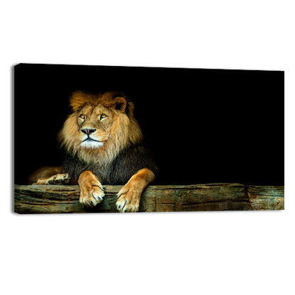 Lion Sitting on a Rock