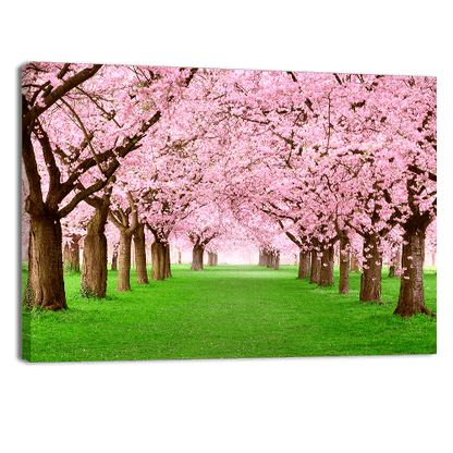 Majestical Blossom