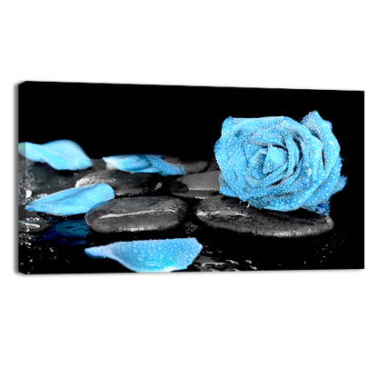 Blue Rose and Black Stones