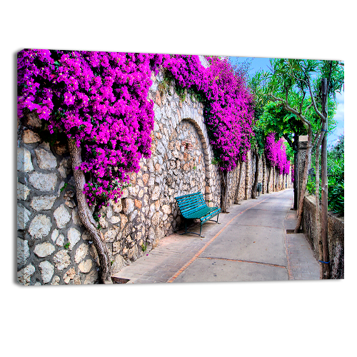 Pathway in Capri