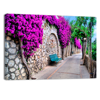 Pathway in Capri