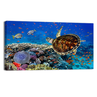 Coral Reff and Sea turtle