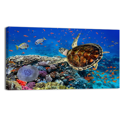 Coral Reff and Sea turtle
