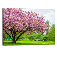 Sakura Tree