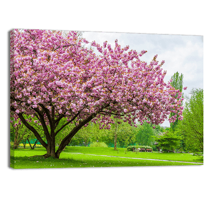 Sakura Tree