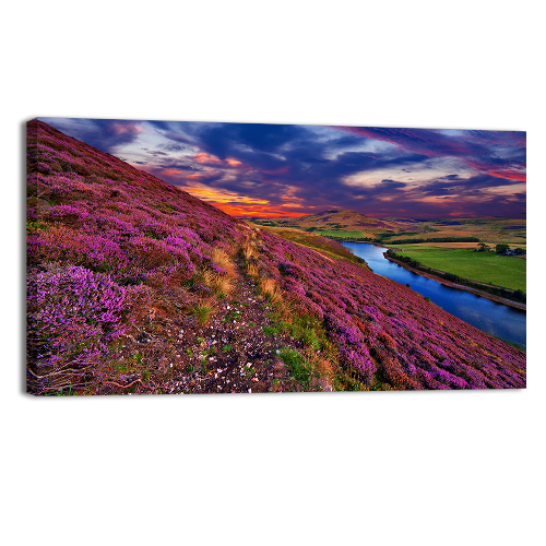 Scottish Nature