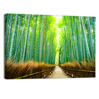 Bamboo forest in Japan