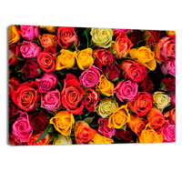 Bed of roses