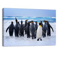 King Pinguins