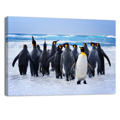 King Pinguins