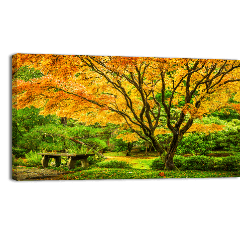 Japanese Maple Fall