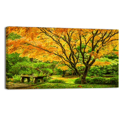 Japanese Maple Fall
