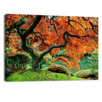 Japanese Garden