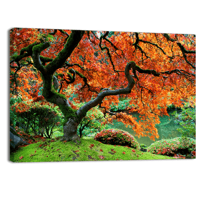 Japanese Garden