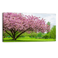 Sakura Tree