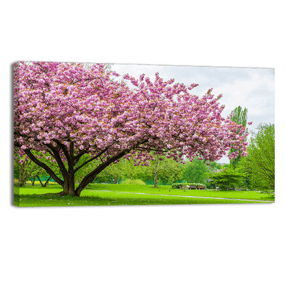 Sakura Tree