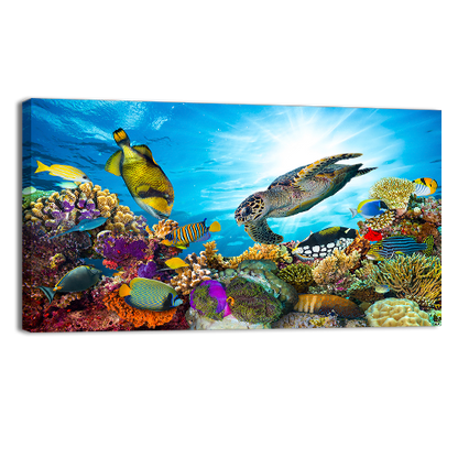 Colorful Coral Reef