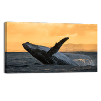 Humpback jump